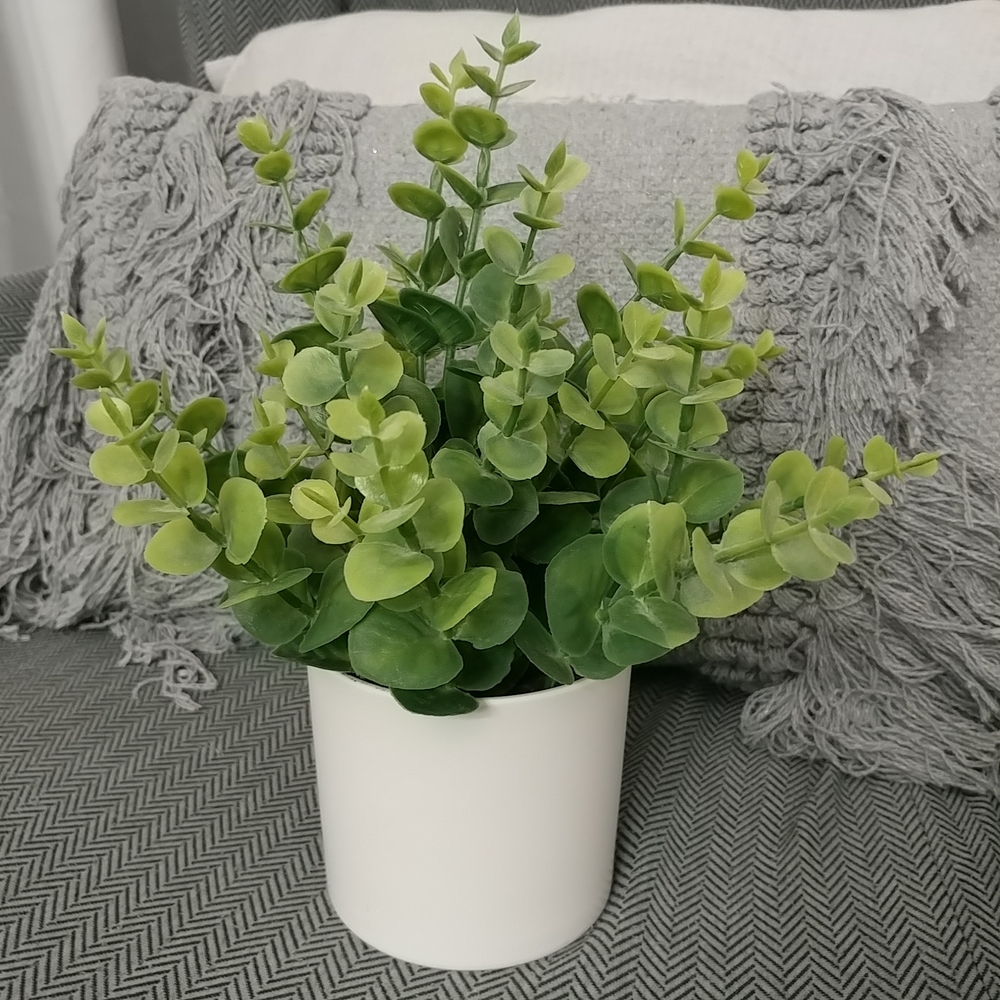 Boxwood Faux Plant Artificial Green Boxwood Arrangement White Planter- Threshold